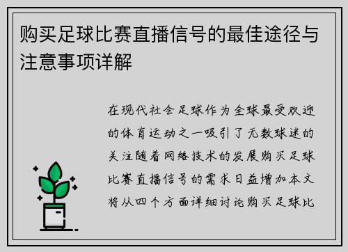 购买足球比赛直播信号的最佳途径与注意事项详解